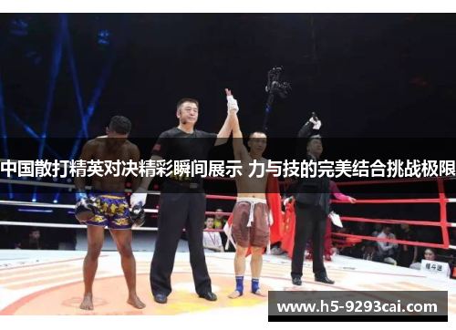 中国散打精英对决精彩瞬间展示 力与技的完美结合挑战极限