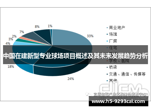 中国在建新型专业球场项目概述及其未来发展趋势分析