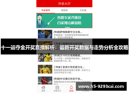 十一运夺金开奖直播解析：最新开奖数据与走势分析全攻略